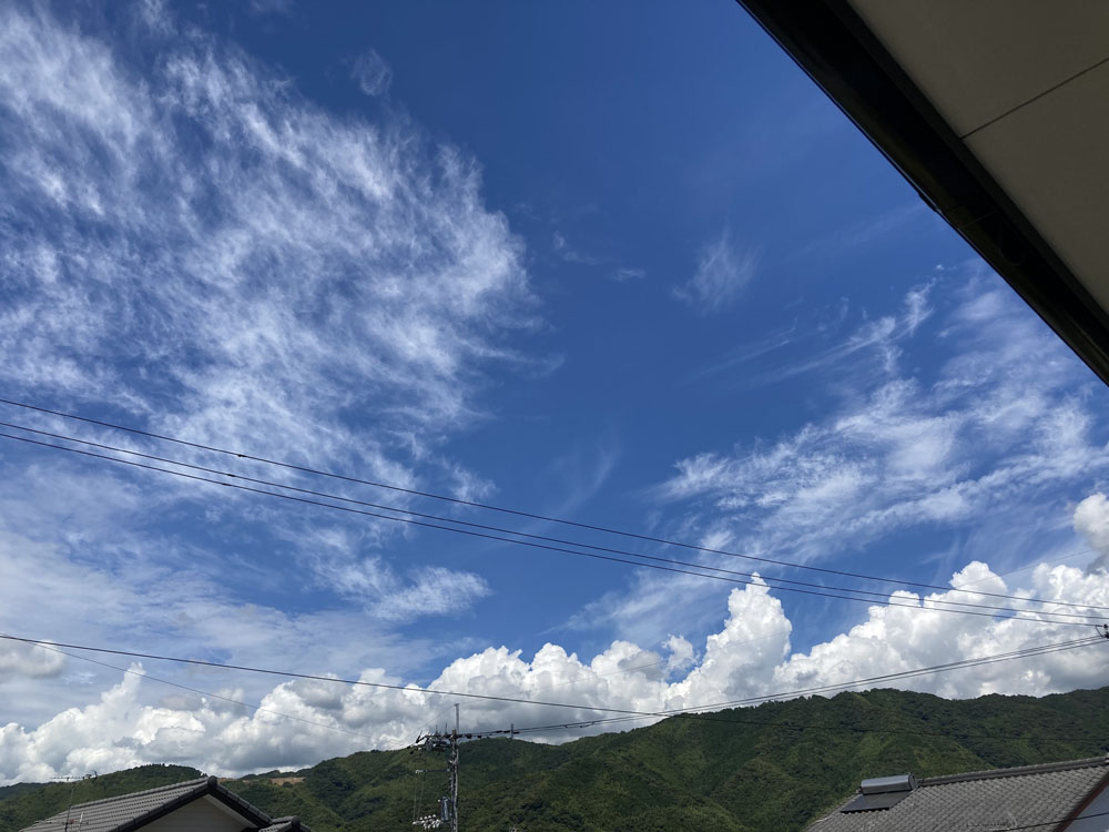 庭から四国山地が見渡せ ます